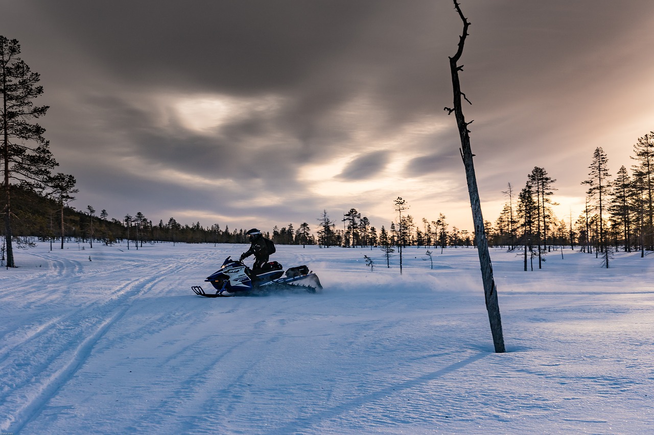 lapland polar winter snowmobile free photo