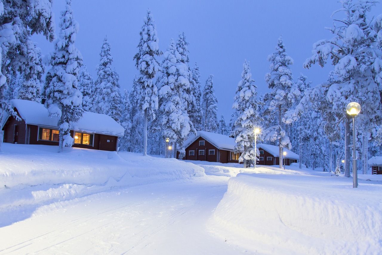 lapland winter snow free photo