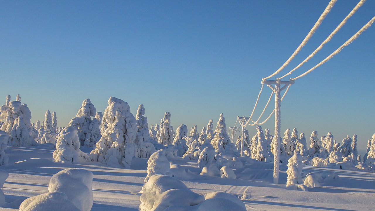 lapland winter snow free photo