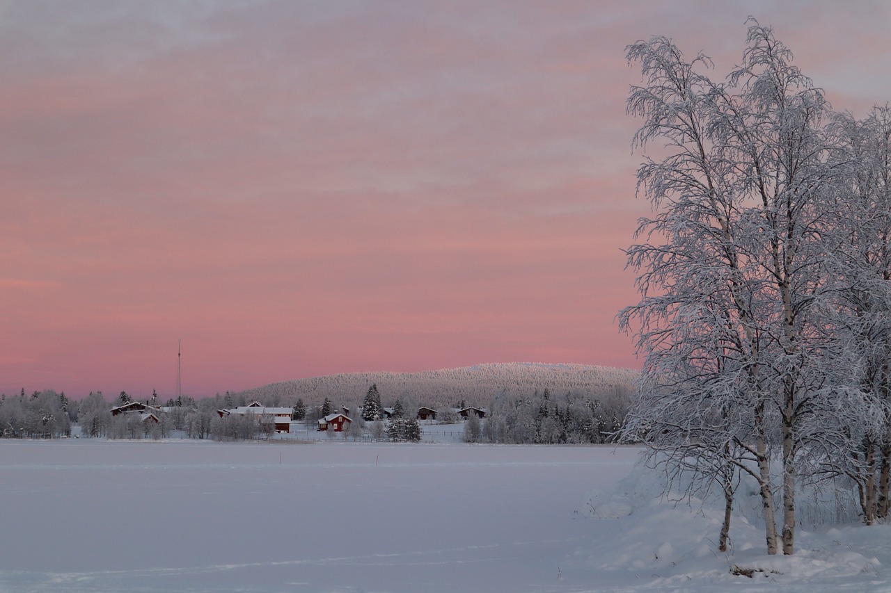 lapland  snow  polar night free photo