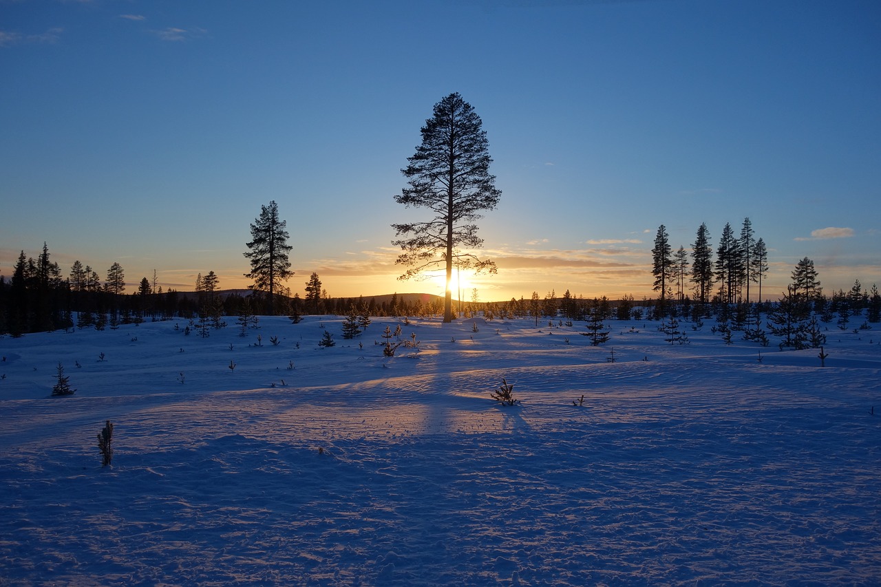 lapland  snow  sunset free photo