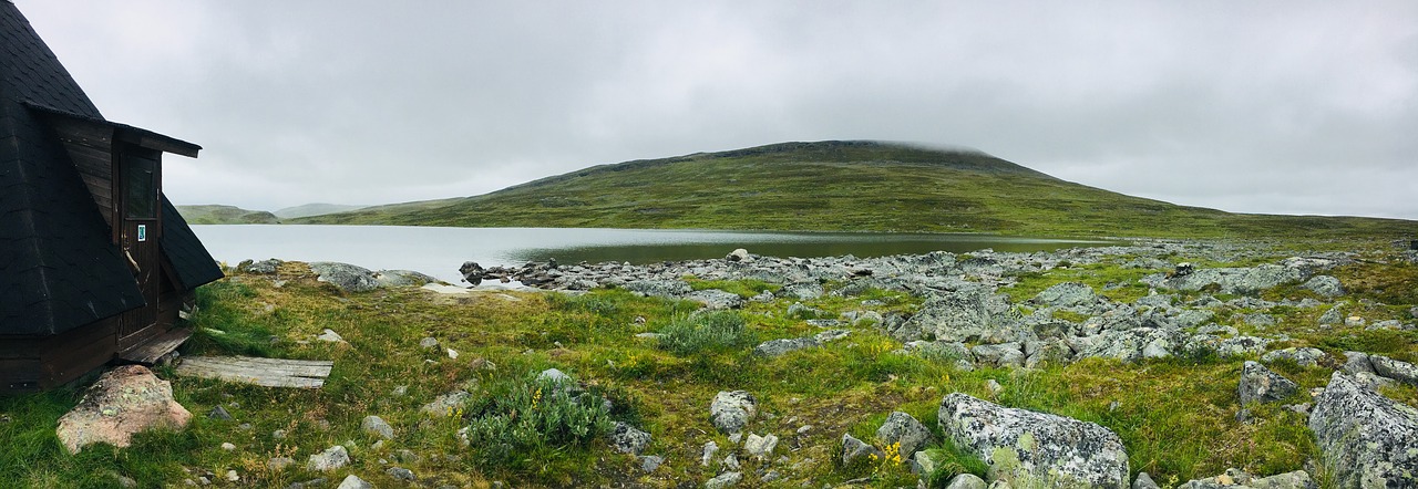 lapland  nature  fell free photo