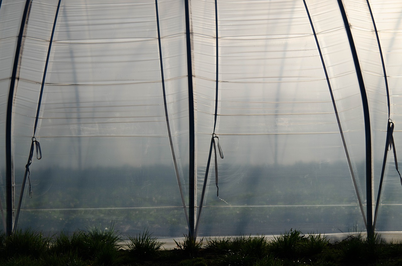 large plane greenhouse free photo