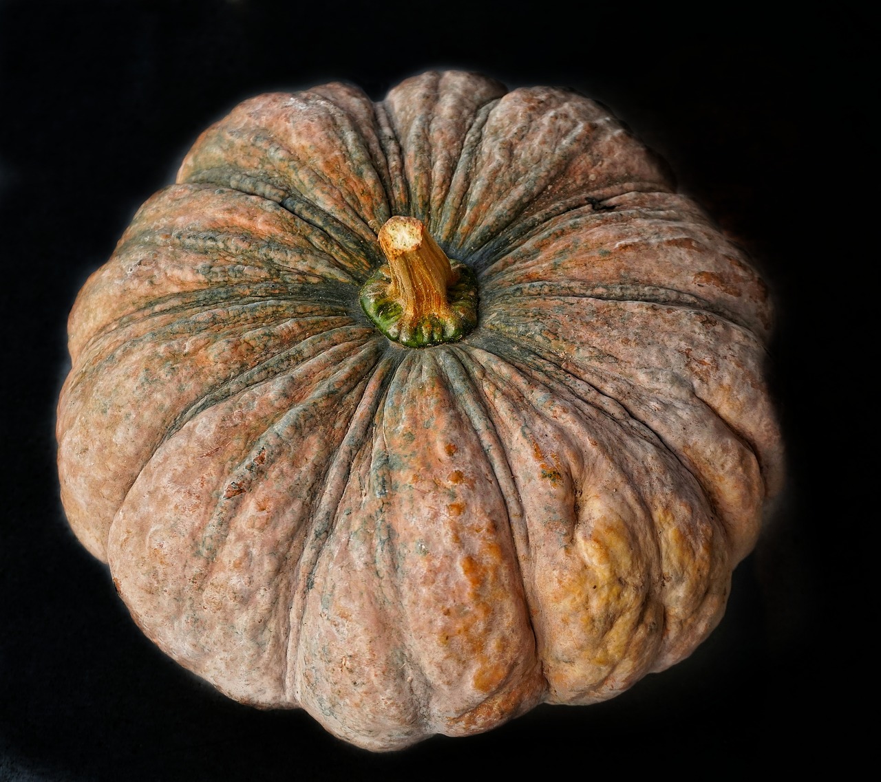 large pumpkin halloween free photo