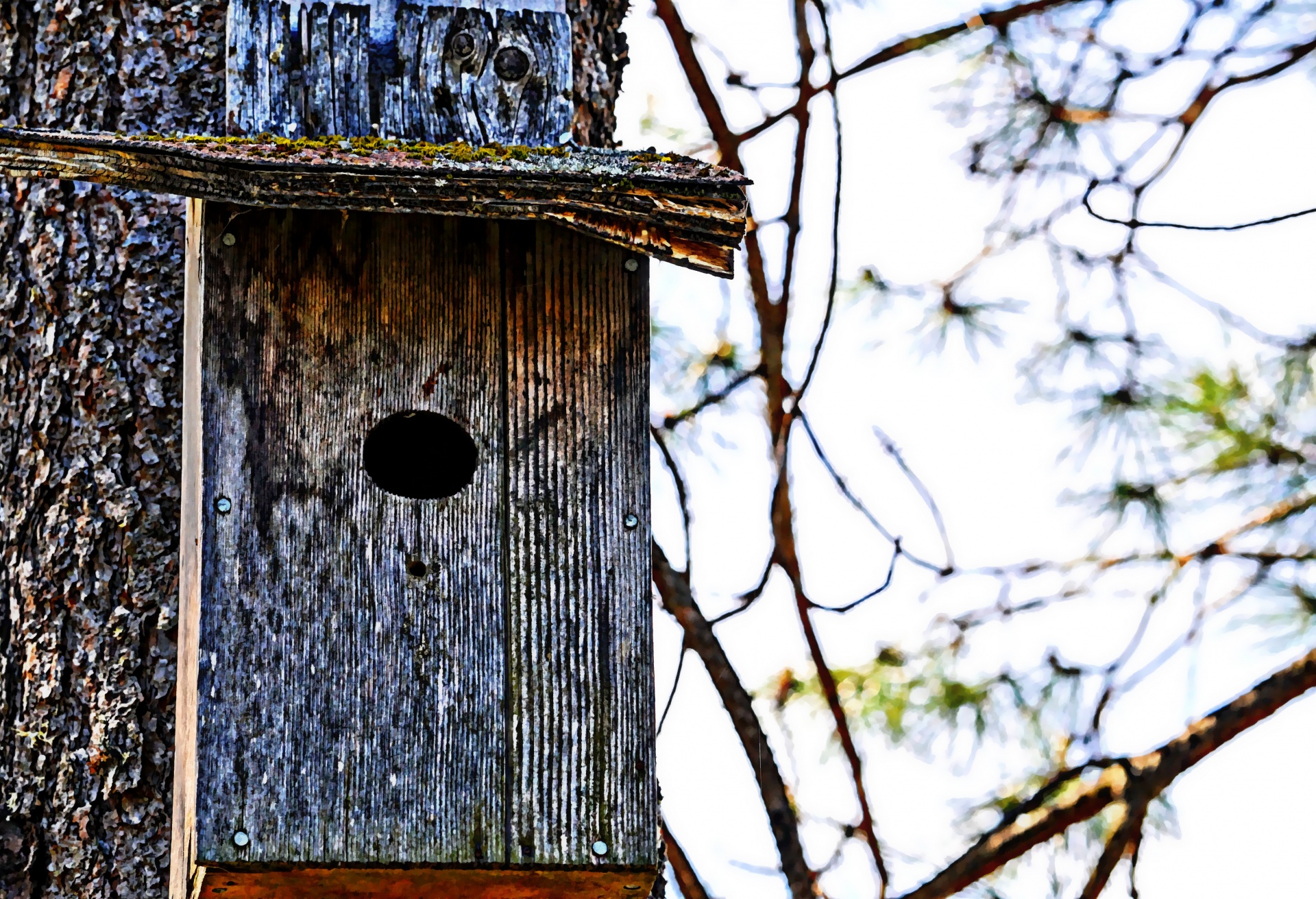 birdhouse bird house tree free photo
