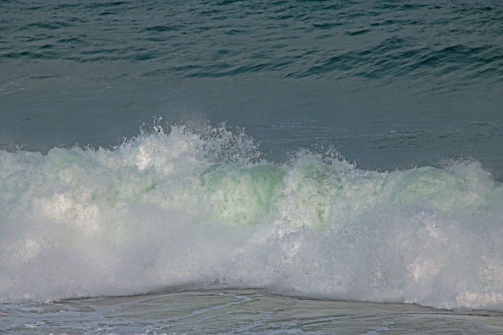 wave ocean water free photo