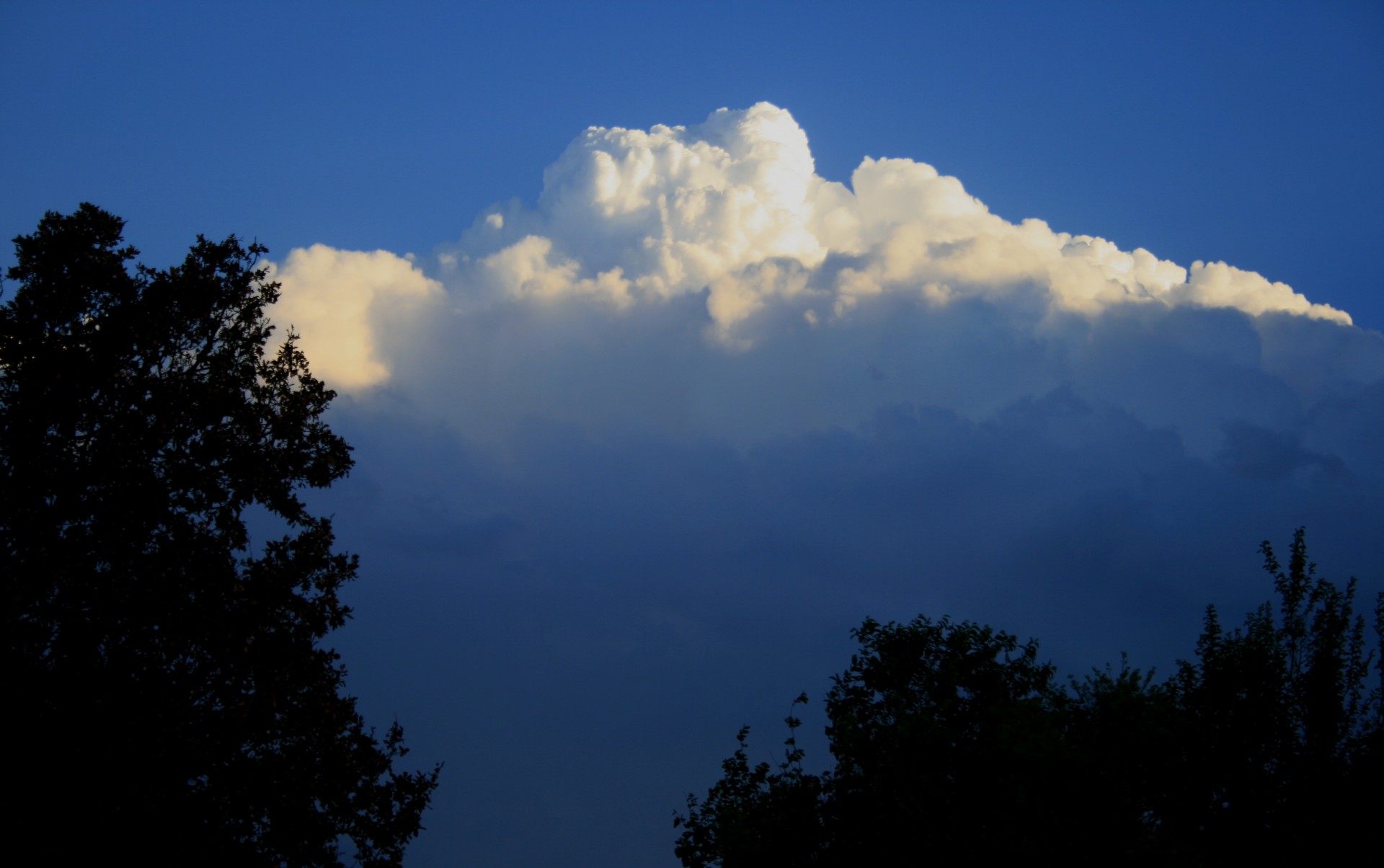 cloud large white free photo