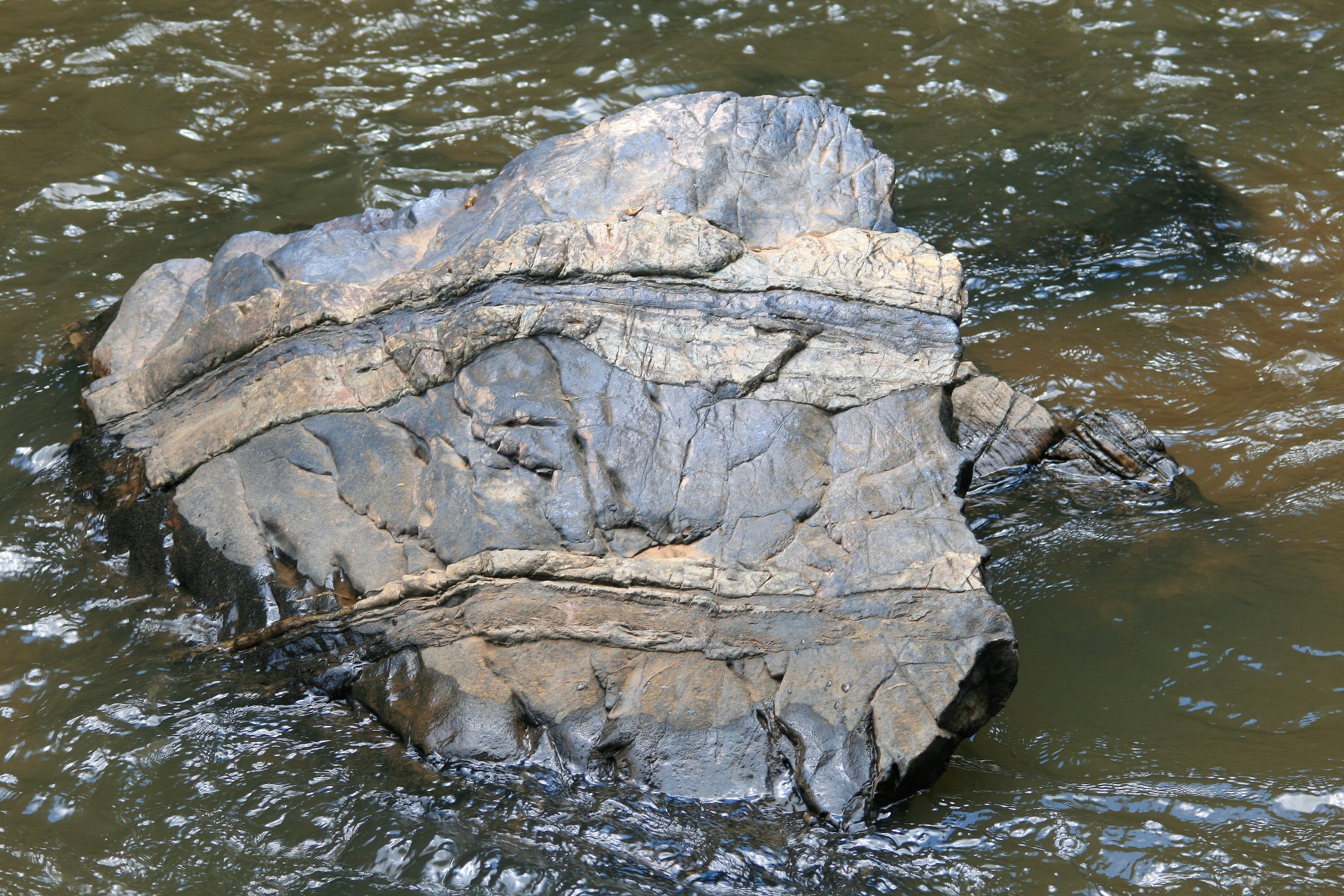 stream water rock free photo