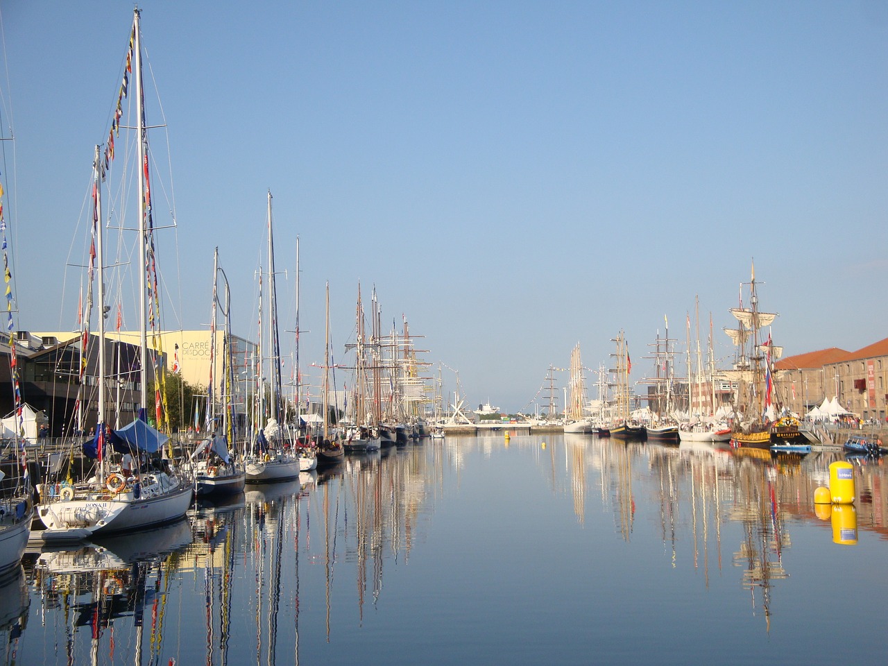 large sails harbour boats free photo