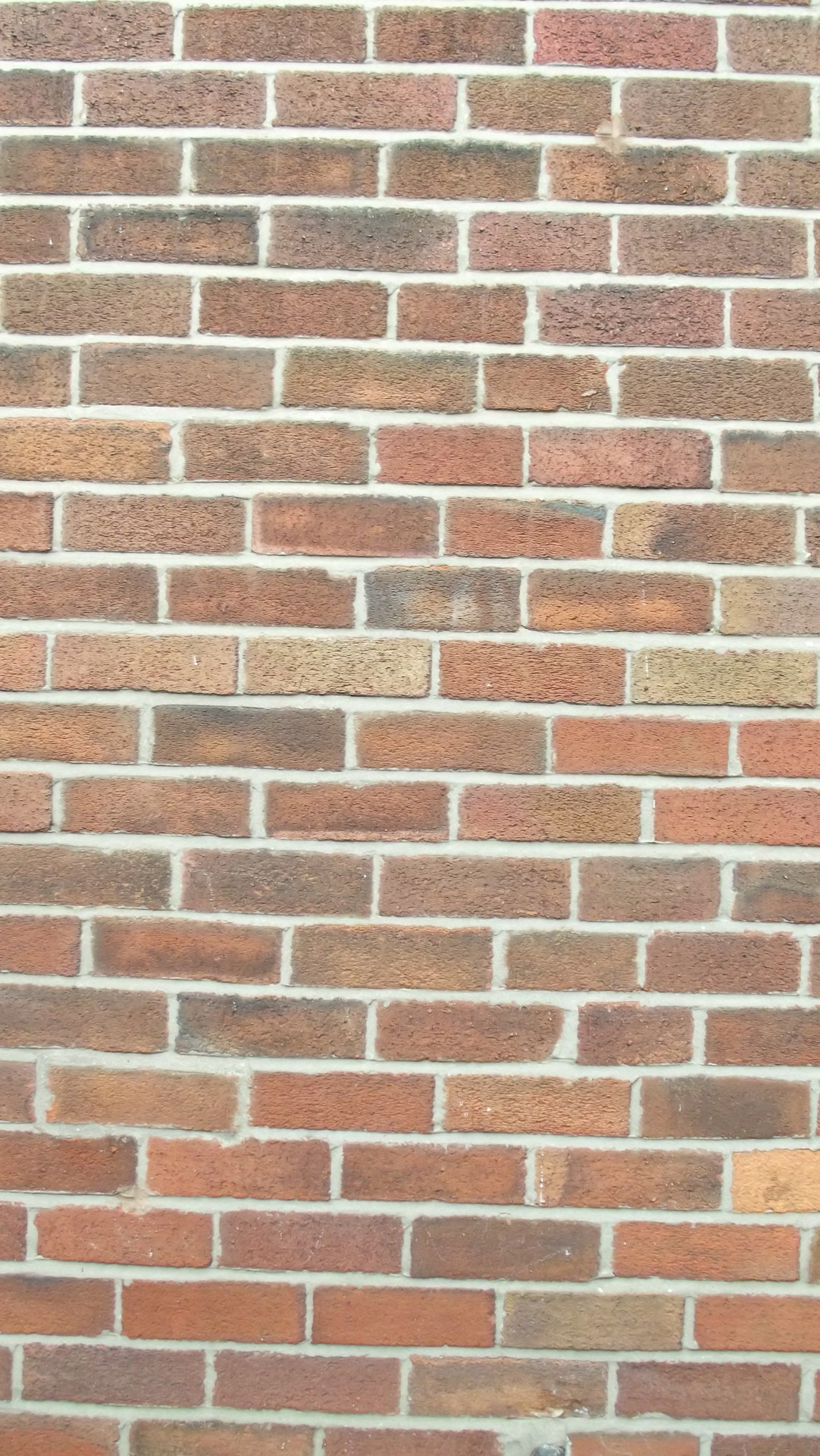 wall brick bricks free photo