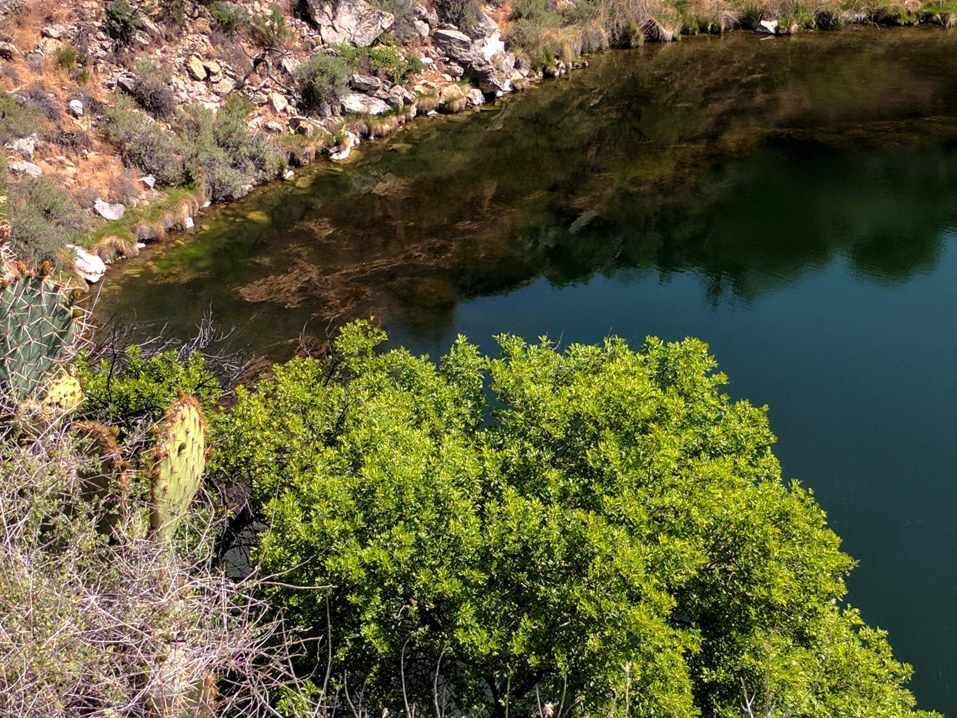 arizona rimrock well free photo