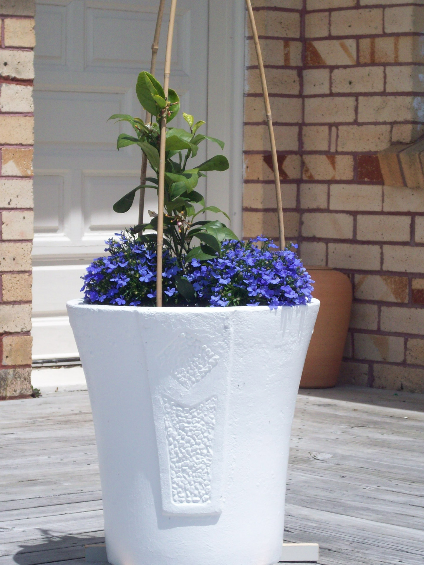 garden pot large garden pot white garden pot white garden pot with blue flowers free photo