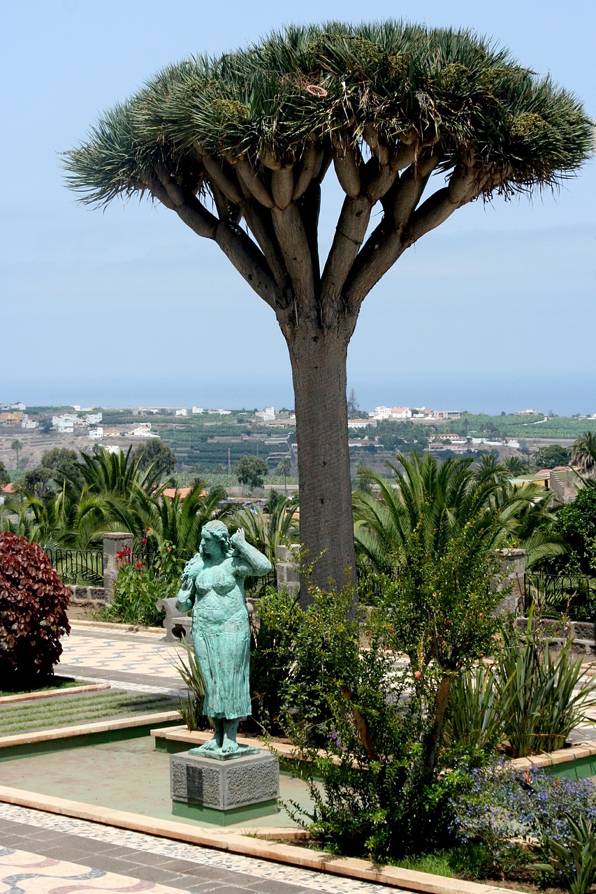 las palmas mediterranean spain free photo