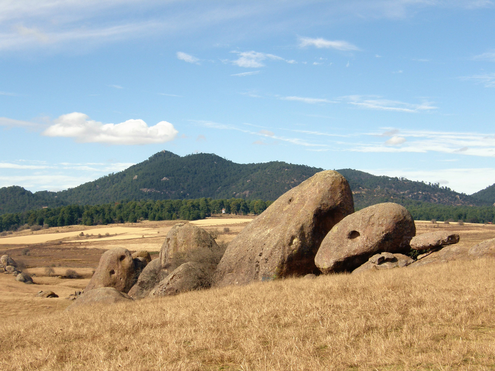 big pebbles rocks free photo