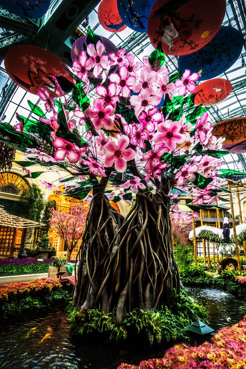 las vegas bellagio travel free photo