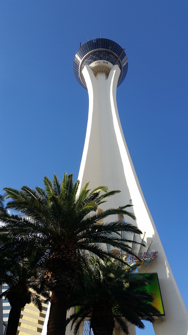 las vegas vegas stratosphere free photo