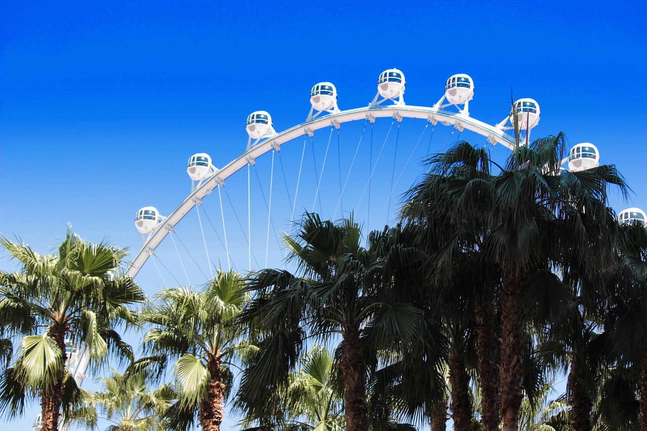 las vegas strip palm trees free photo