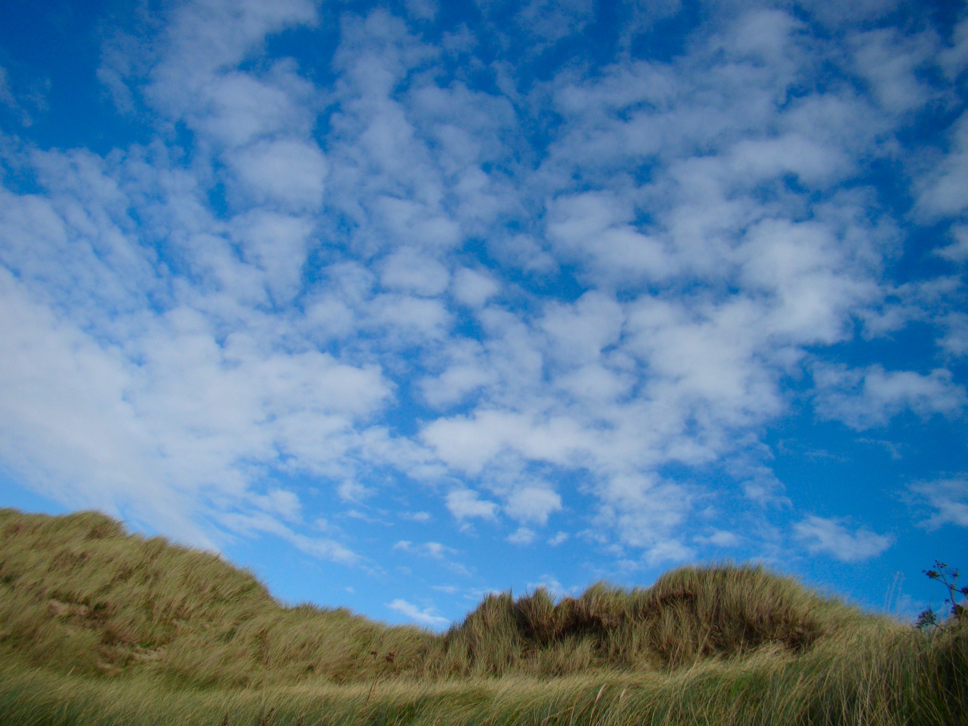 beach sky clouds free photo