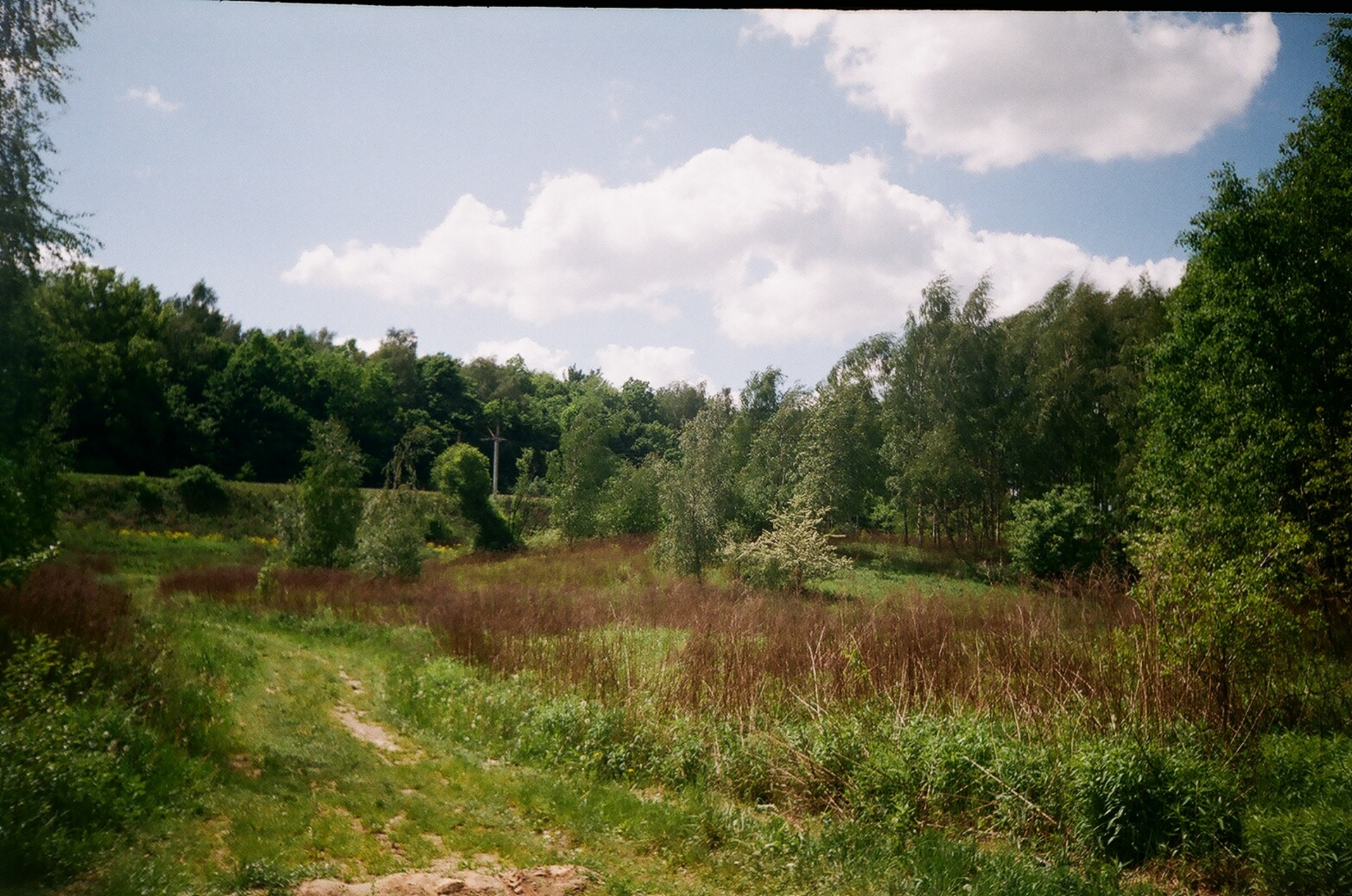 summer lublin poland free photo