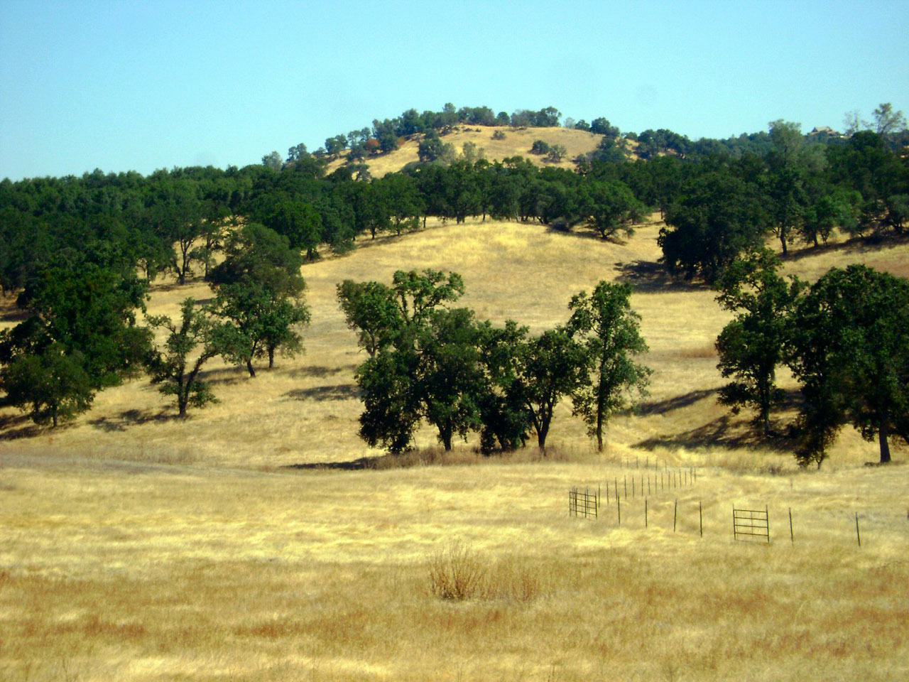 latrobe road amador free photo