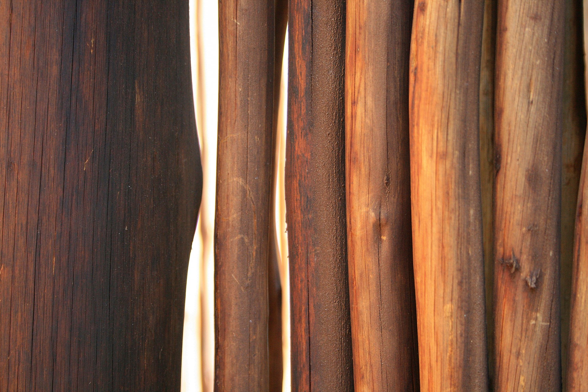 screen wood poles free photo