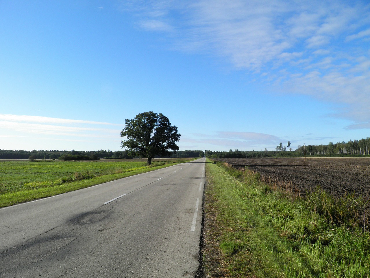latvia landscape road free photo