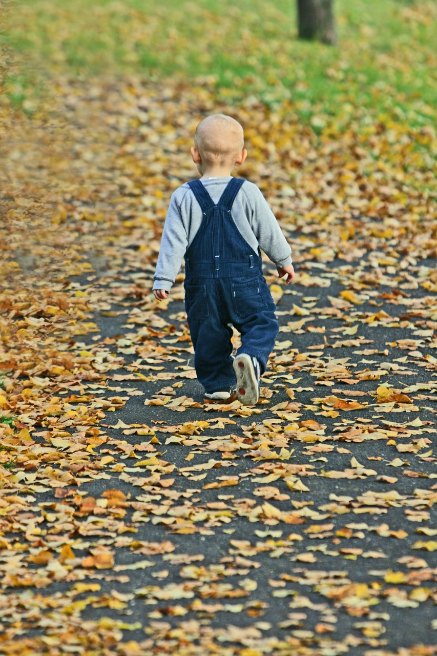 baby park autumn free photo