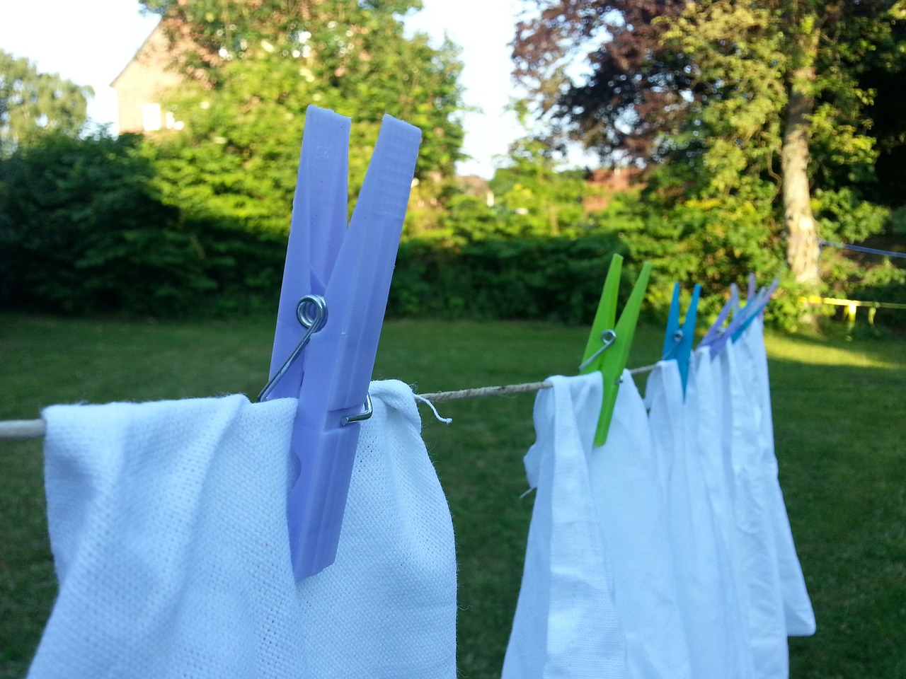 laundry clothespins clothes line free photo