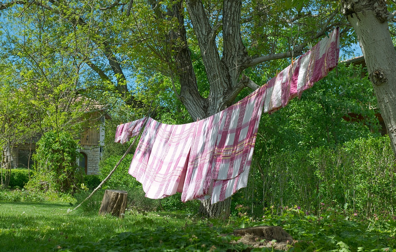 laundry spring clothes free photo