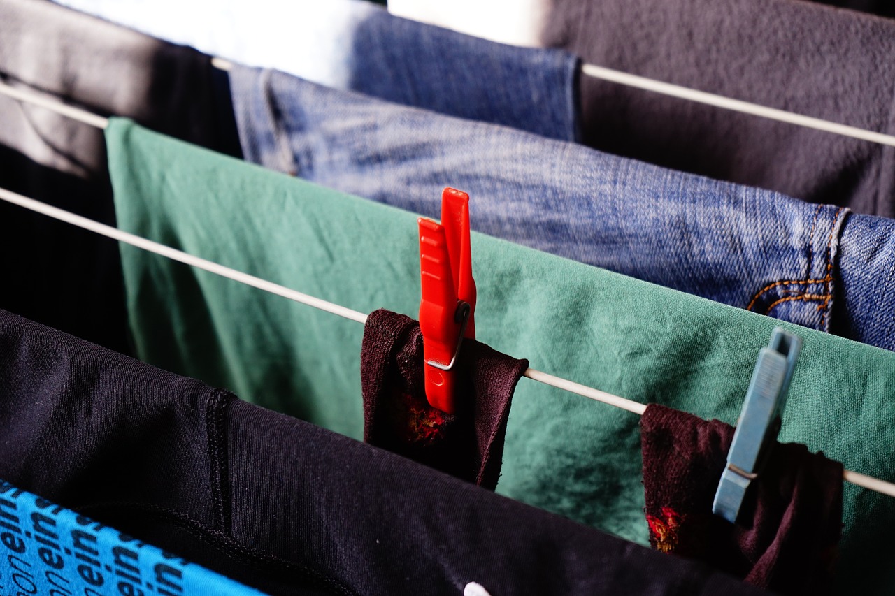 laundry dry clothes peg free photo