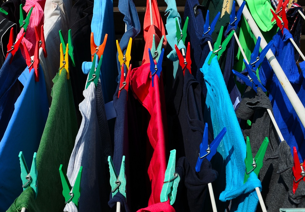 laundry  clip  clothes peg free photo