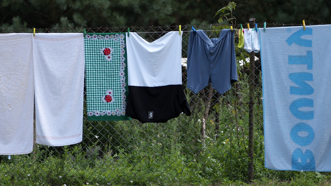 laundry  clothes line  washed free photo