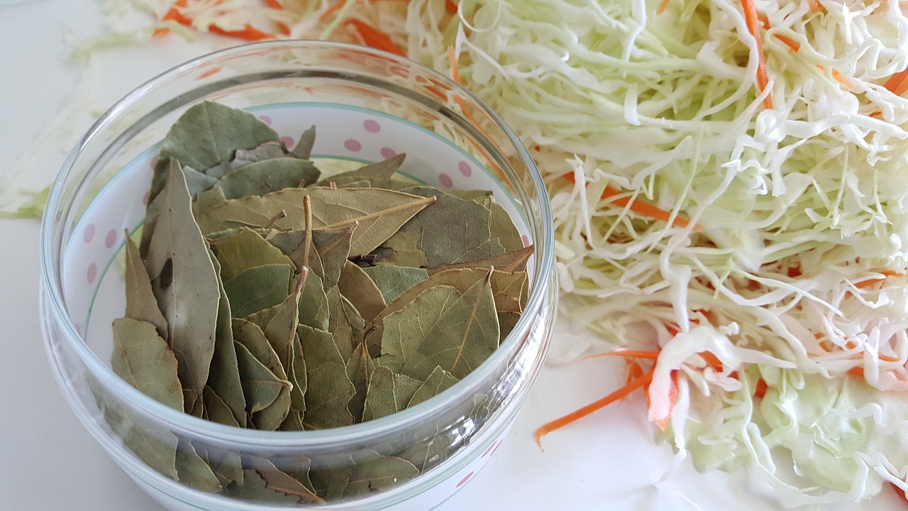 laurel cabbage seasoning free photo
