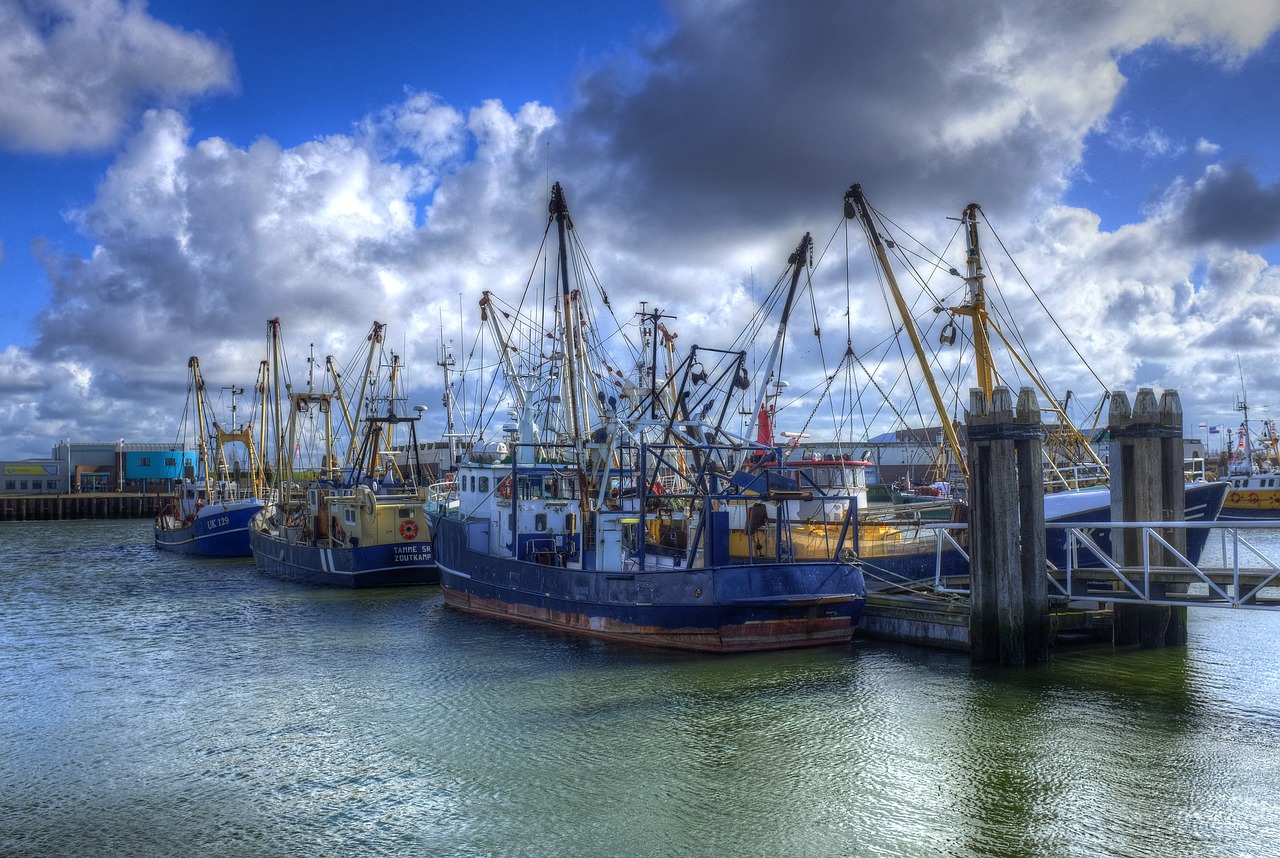 lauwersoog port fisheries free photo