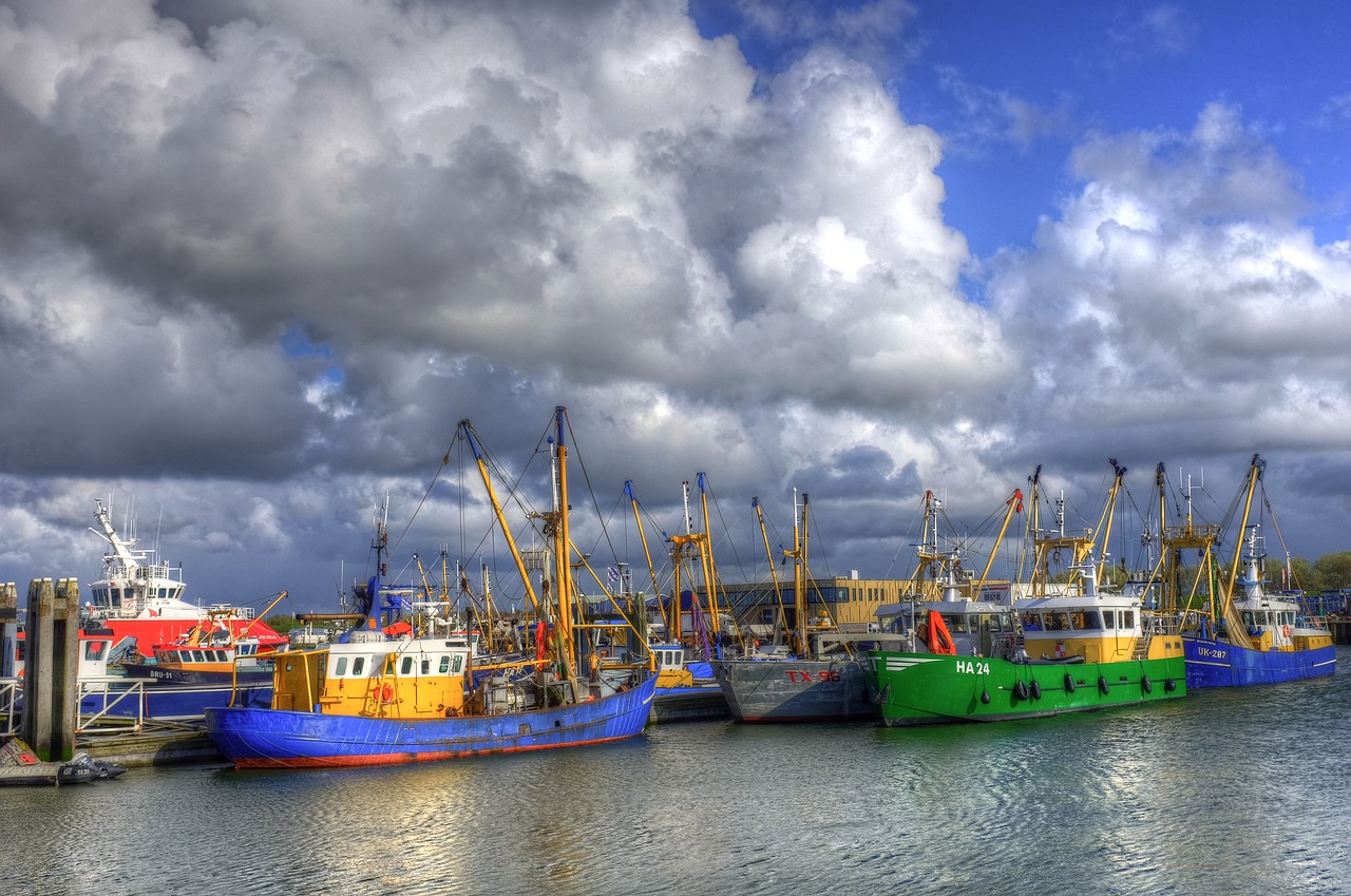 lauwersoog port fishing boats free photo