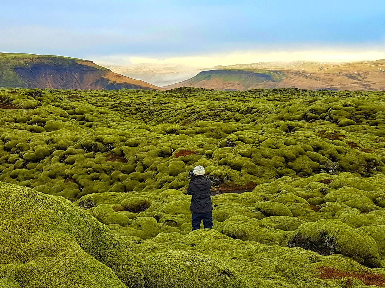 lava field moss field eldhraun free photo