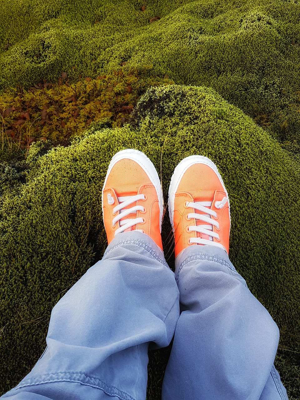 lava field moss field iceland free photo