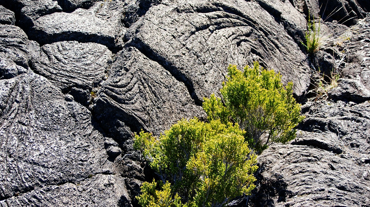 lava flow bush volcano free photo