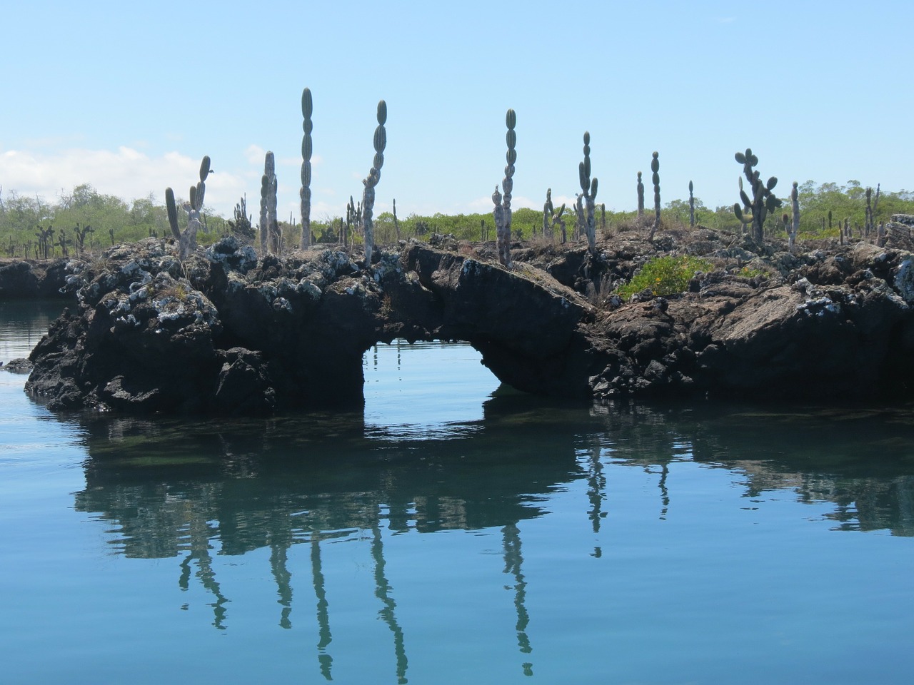 lava tunnel galapagos islands ecuador free photo