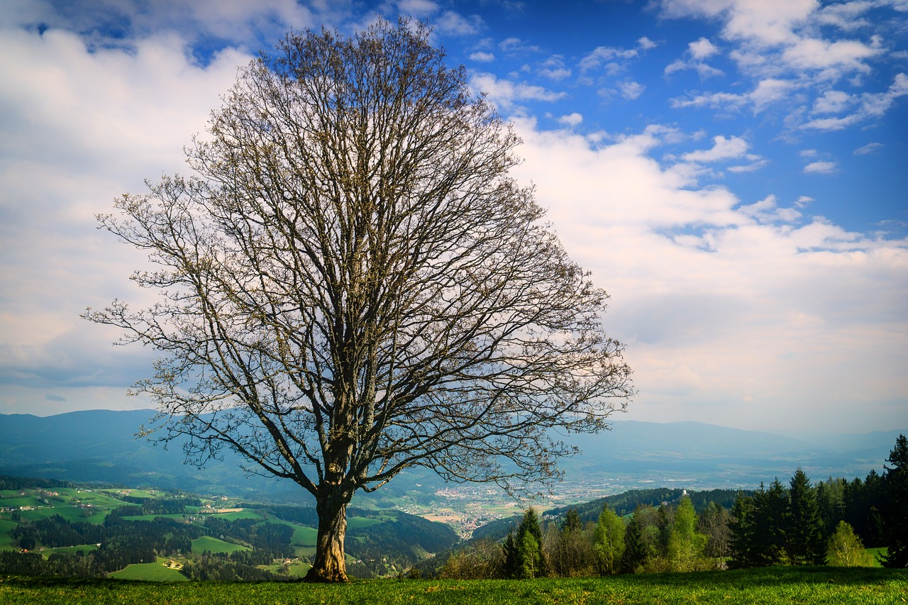 lavanttal  carinthia  austria free photo