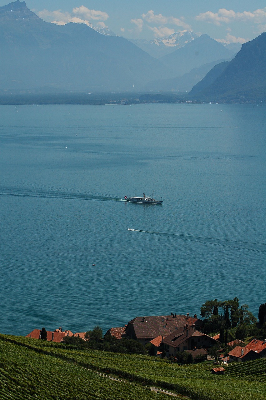 lavaux vaud vineyards free photo