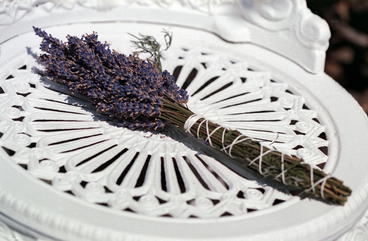 lavender white chair free photo