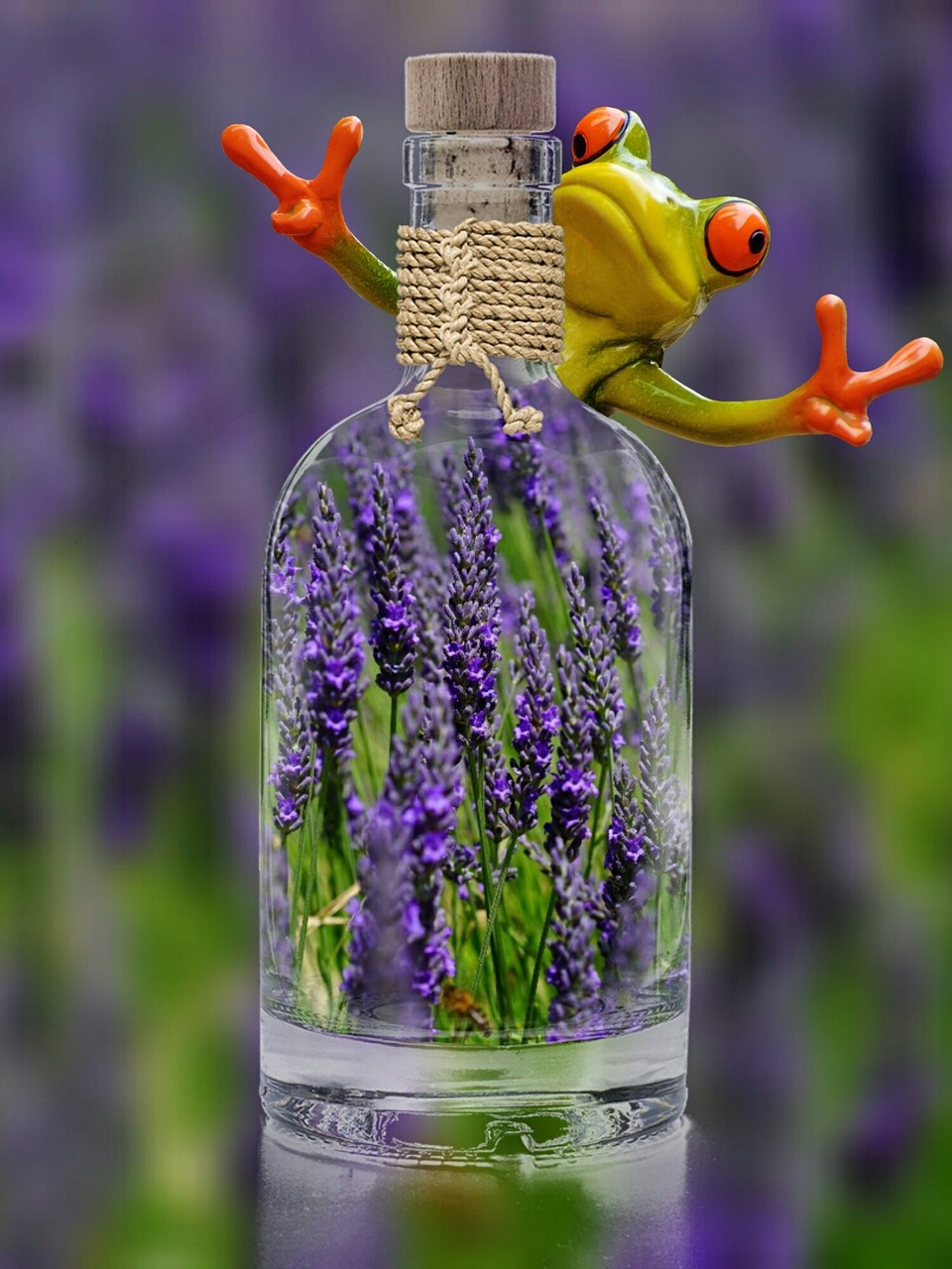 lavender bottle frog free photo