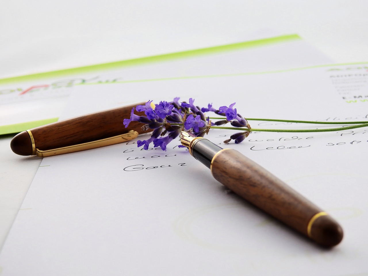 lavender flower purple free photo