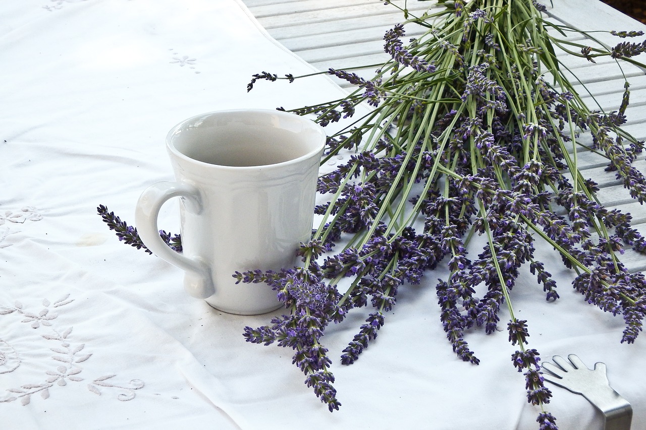 lavender cup tablecloth free photo