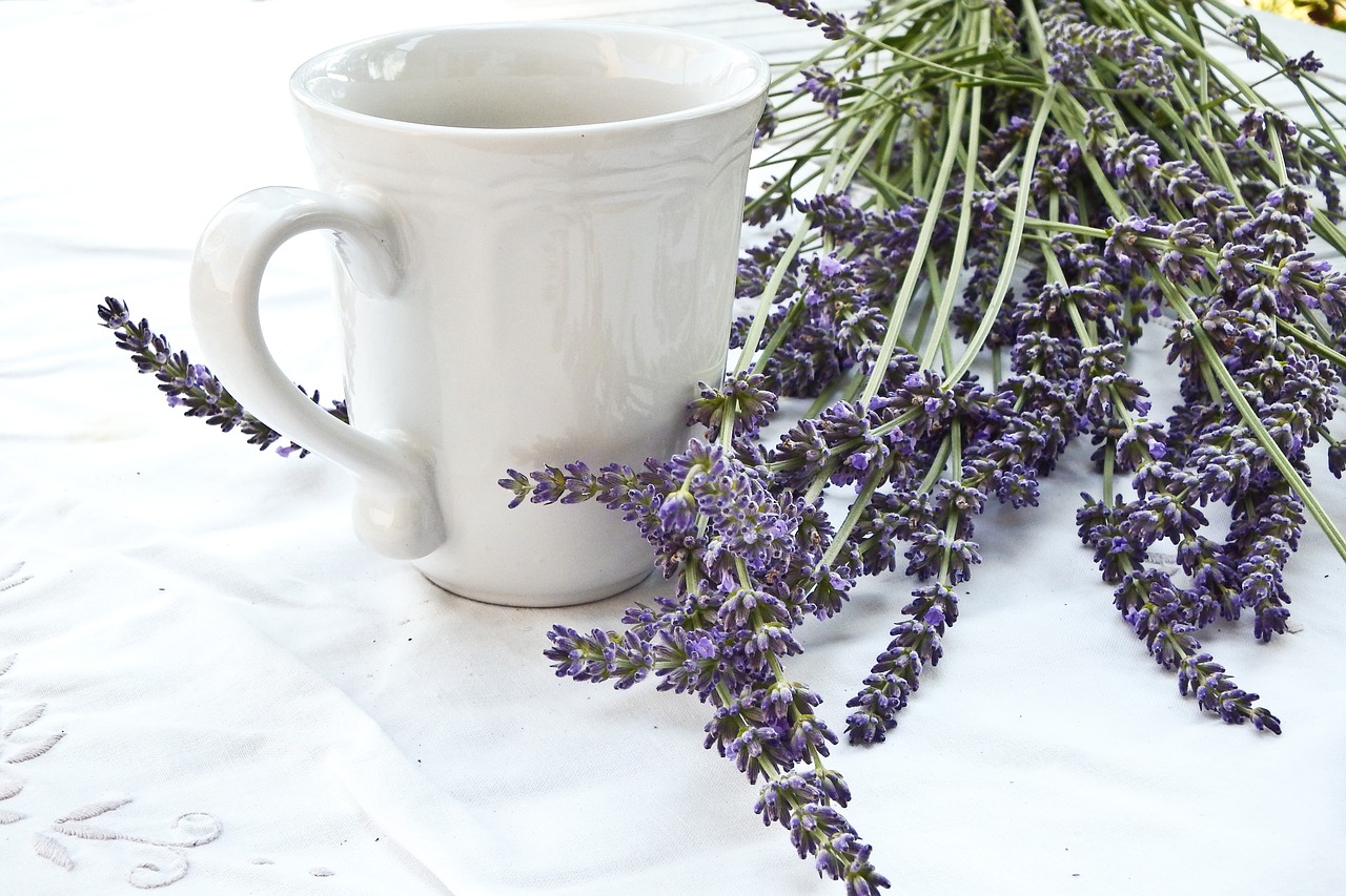 lavender cup tablecloth free photo