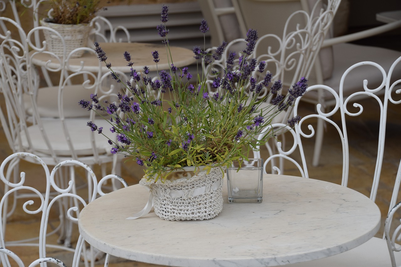 lavender table italy free photo