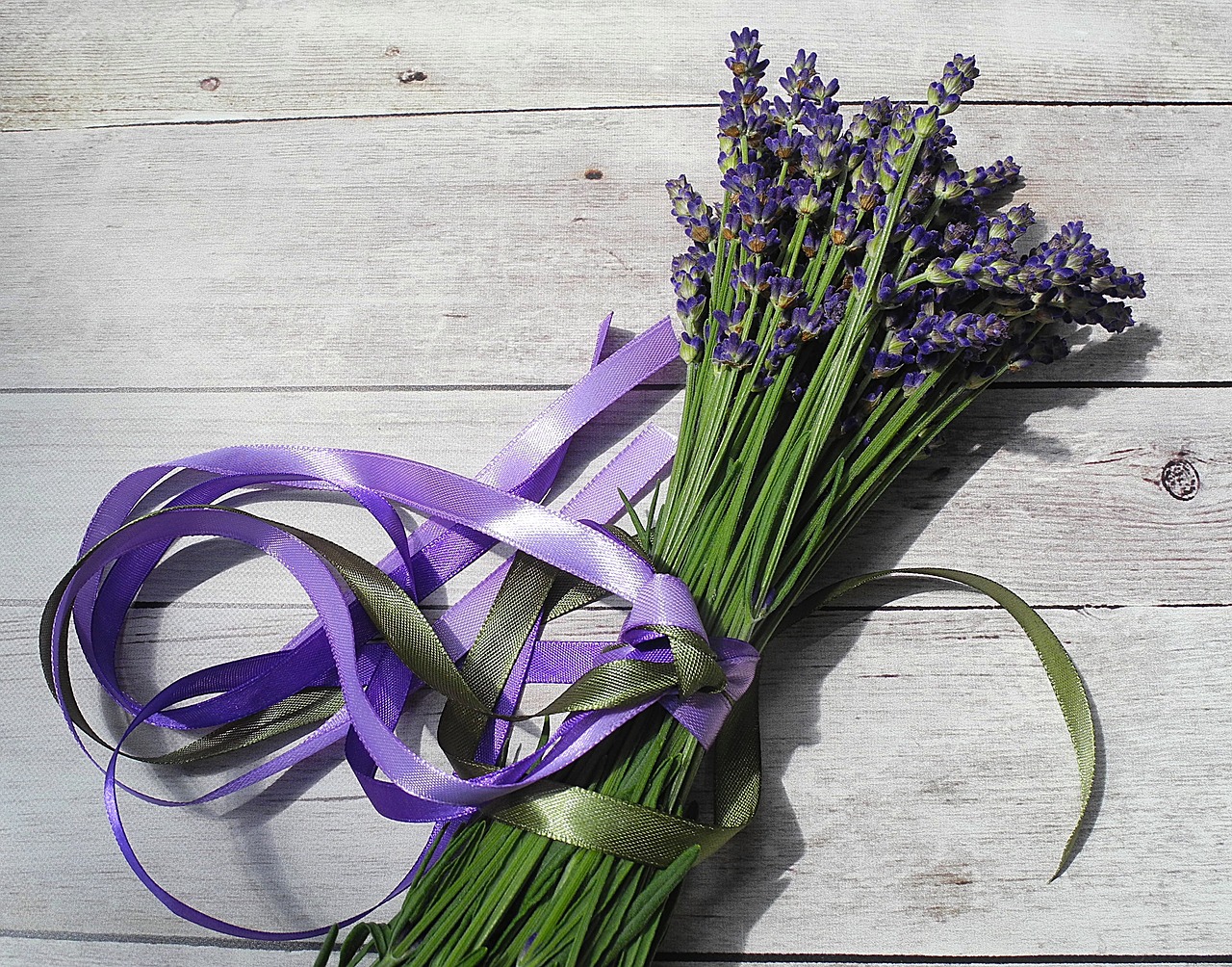 lavender flower purple free photo