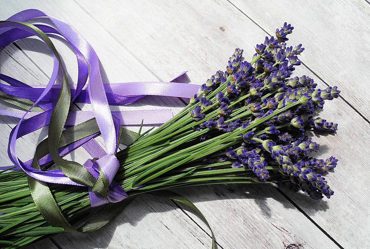lavender flower purple free photo