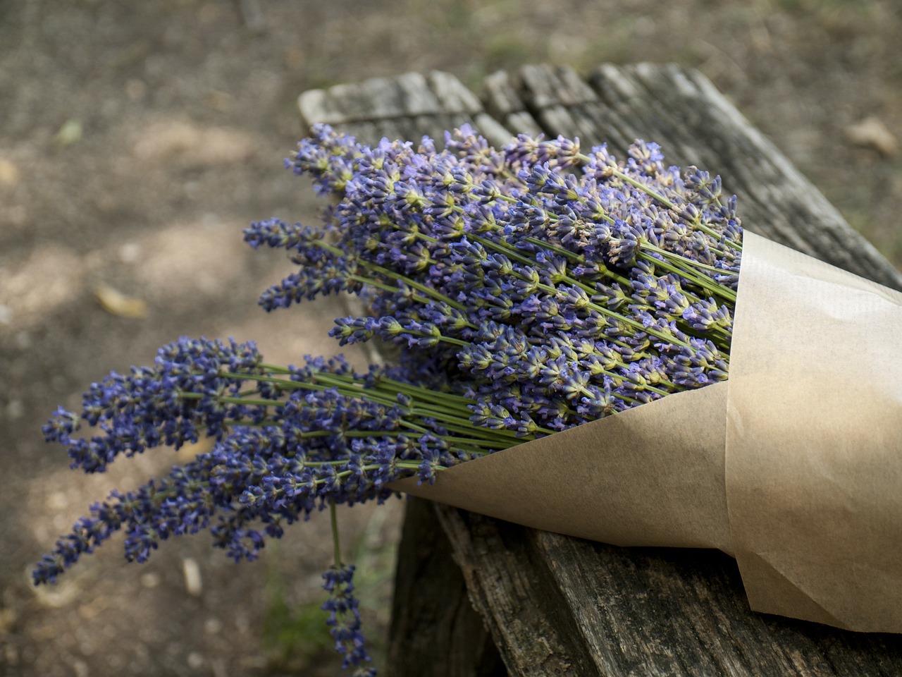 lavender mood purple free photo